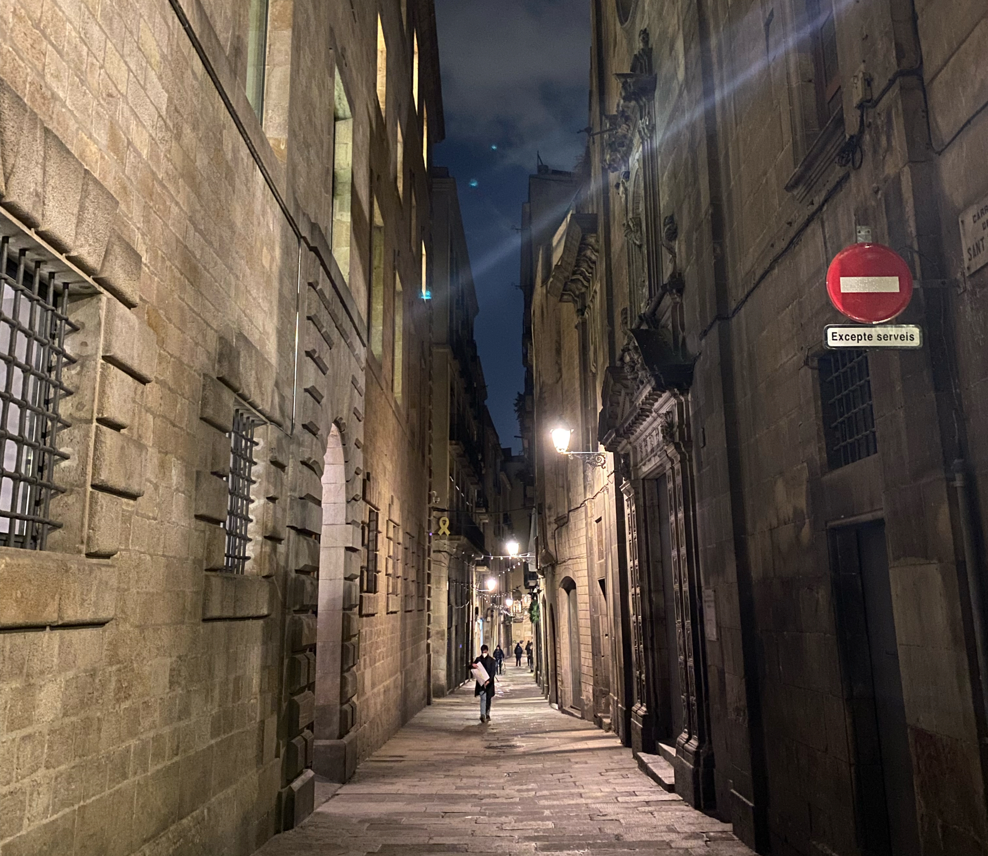 Gothic Quarter (Barri Gòtic)