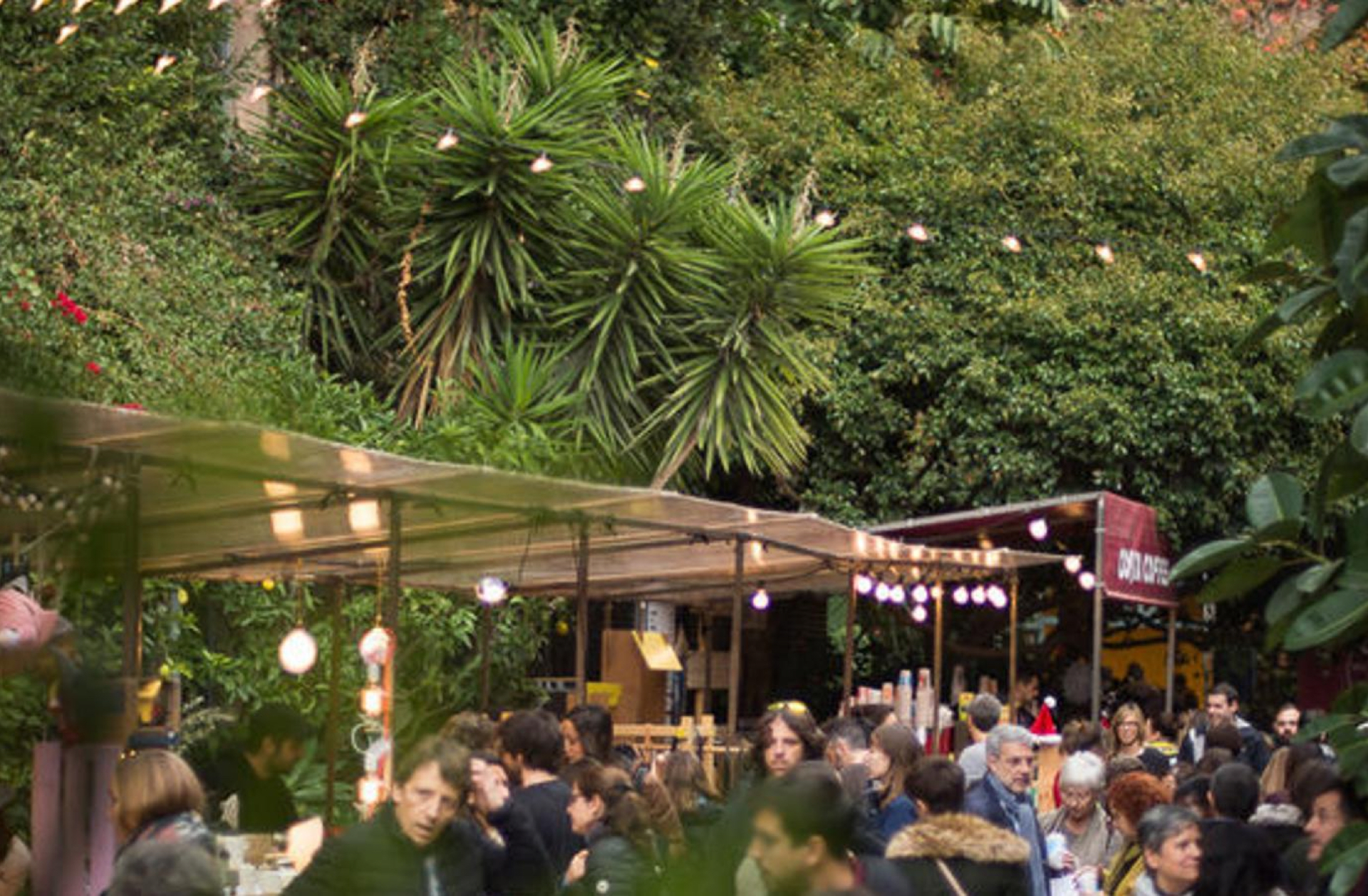 Palo Market Fest